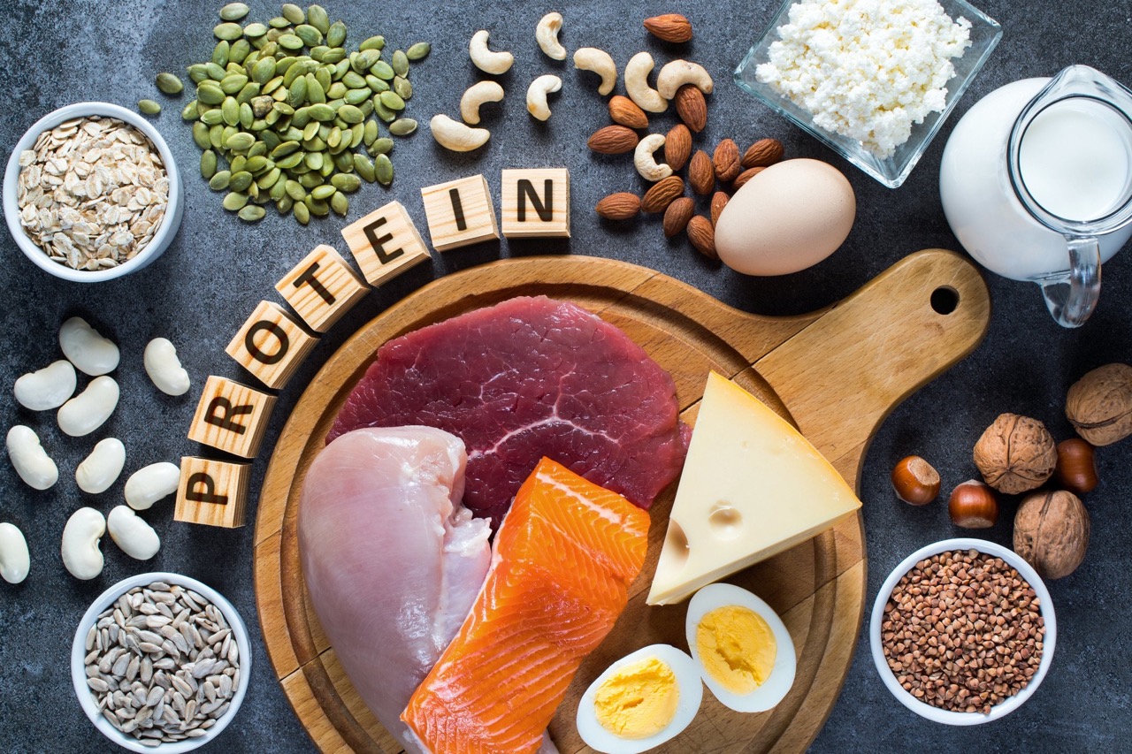Why Protein-Rich Diets Boost Weight-Loss Results